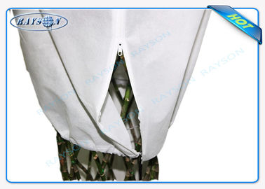पीपी Spunbond कृषि गैर बुना कवर कपड़े बैग सामग्री Nonwoven कपड़े