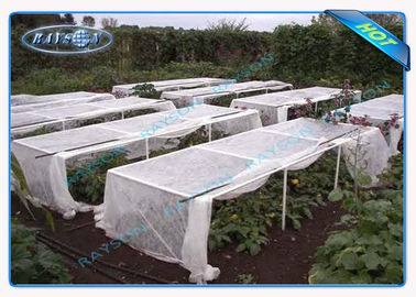 एंटी यूवी पीपी Spunbond गैर बुना लैंडस्केप कपड़ा कृषि संयंत्र कवर के लिए